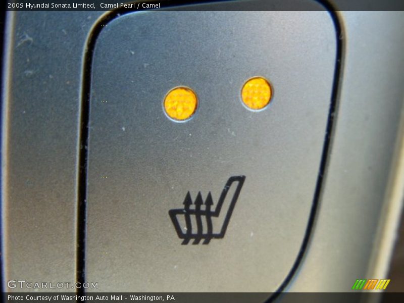 Camel Pearl / Camel 2009 Hyundai Sonata Limited