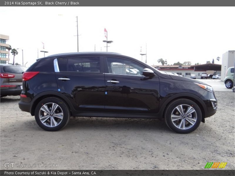 Black Cherry / Black 2014 Kia Sportage SX