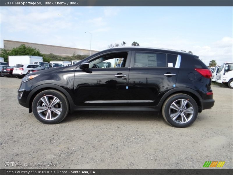 Black Cherry / Black 2014 Kia Sportage SX