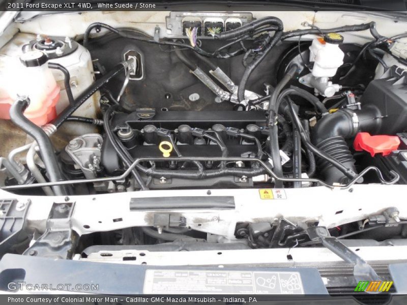 White Suede / Stone 2011 Ford Escape XLT 4WD
