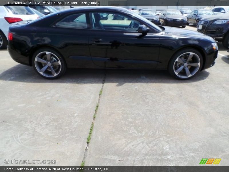 Brilliant Black / Black 2014 Audi A5 2.0T quattro Coupe