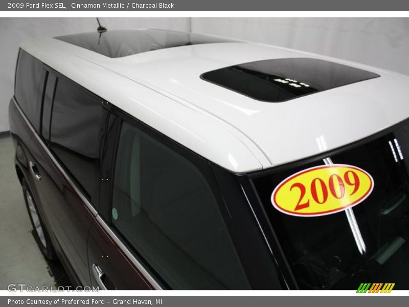 Cinnamon Metallic / Charcoal Black 2009 Ford Flex SEL
