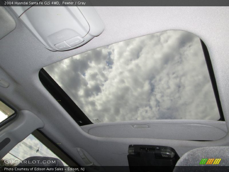 Pewter / Gray 2004 Hyundai Santa Fe GLS 4WD