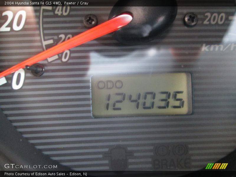 Pewter / Gray 2004 Hyundai Santa Fe GLS 4WD