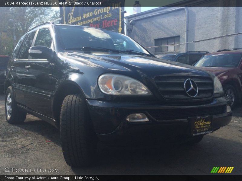 Black / Charcoal 2004 Mercedes-Benz ML 350 4Matic