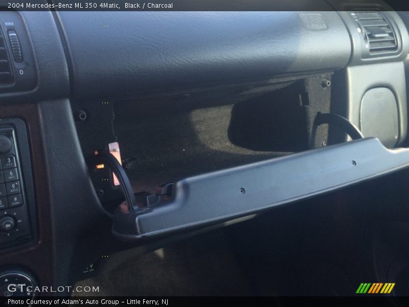 Black / Charcoal 2004 Mercedes-Benz ML 350 4Matic