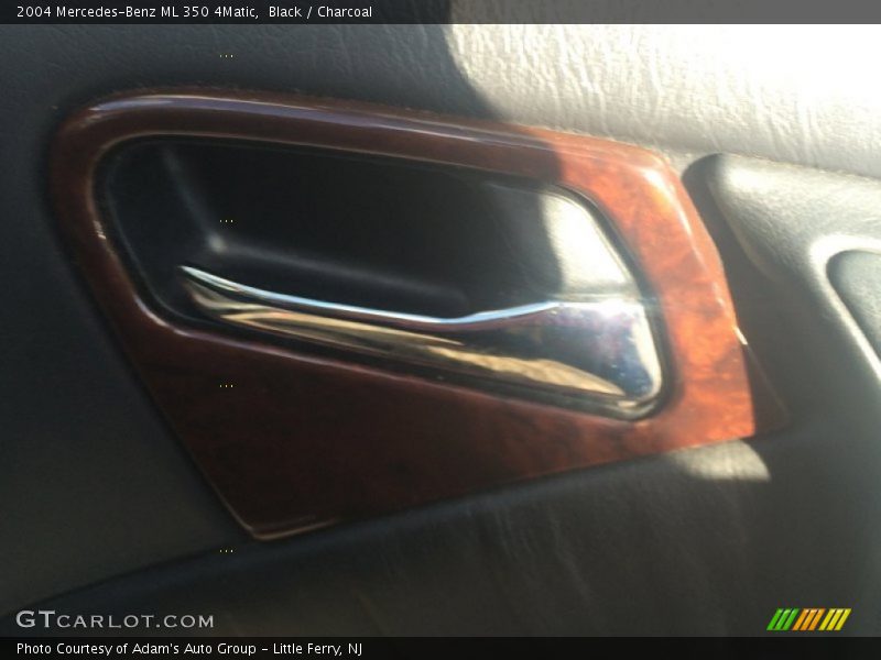 Black / Charcoal 2004 Mercedes-Benz ML 350 4Matic