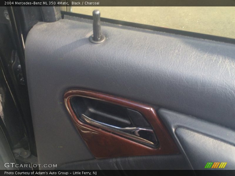 Black / Charcoal 2004 Mercedes-Benz ML 350 4Matic