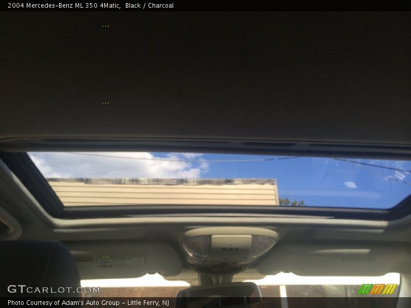 Black / Charcoal 2004 Mercedes-Benz ML 350 4Matic
