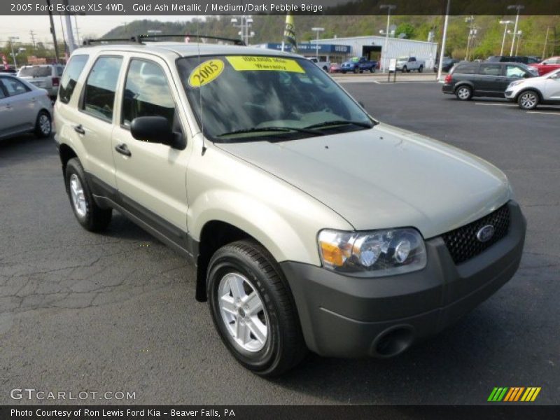 Gold Ash Metallic / Medium/Dark Pebble Beige 2005 Ford Escape XLS 4WD