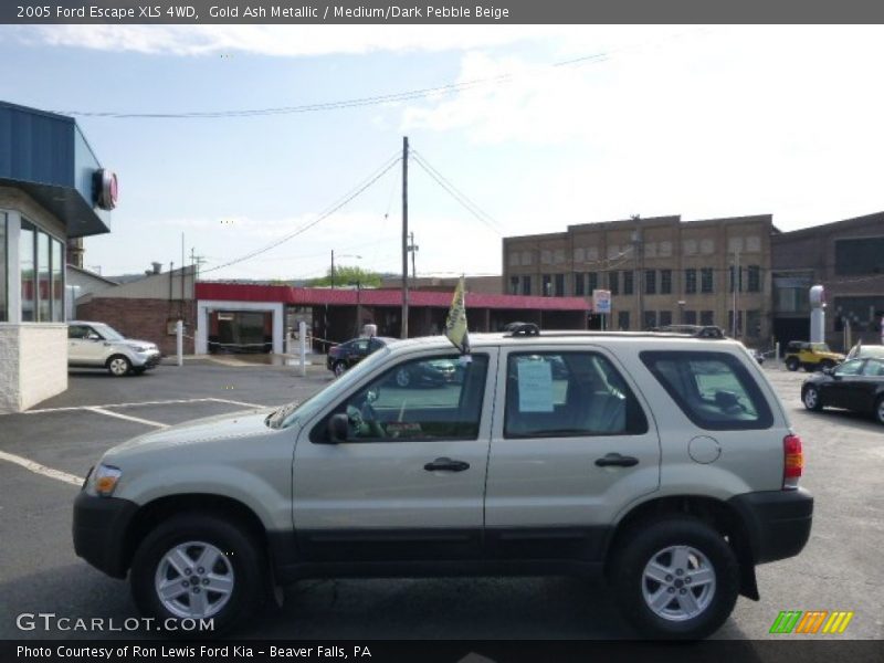Gold Ash Metallic / Medium/Dark Pebble Beige 2005 Ford Escape XLS 4WD