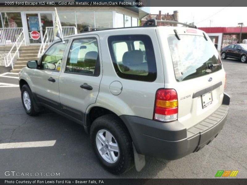Gold Ash Metallic / Medium/Dark Pebble Beige 2005 Ford Escape XLS 4WD