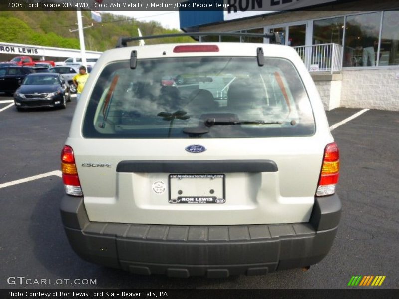 Gold Ash Metallic / Medium/Dark Pebble Beige 2005 Ford Escape XLS 4WD