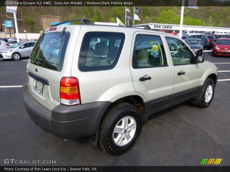 Gold Ash Metallic / Medium/Dark Pebble Beige 2005 Ford Escape XLS 4WD