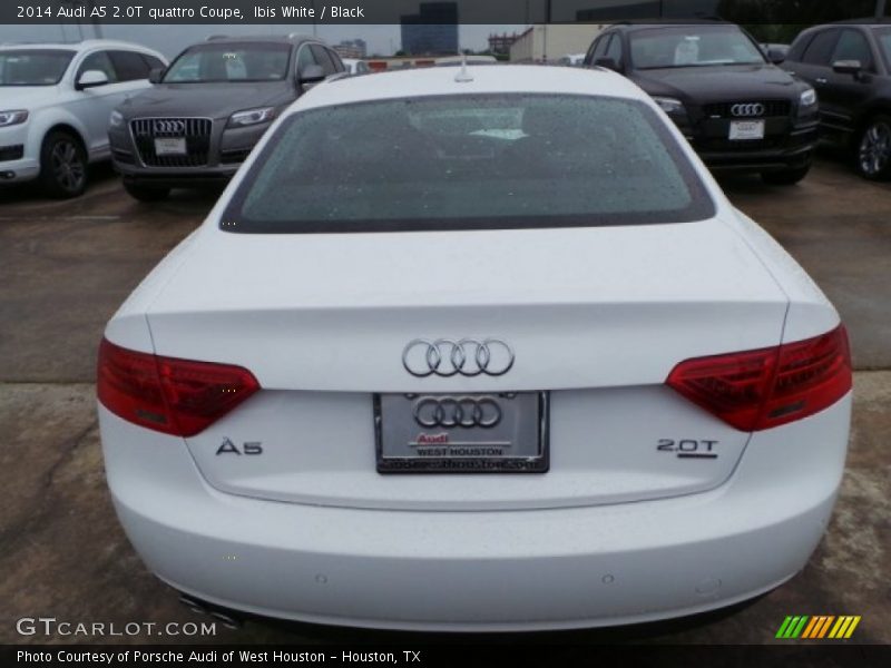 Ibis White / Black 2014 Audi A5 2.0T quattro Coupe