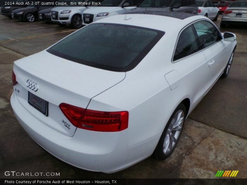 Ibis White / Black 2014 Audi A5 2.0T quattro Coupe
