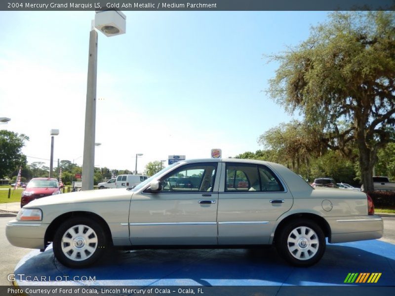  2004 Grand Marquis LS Gold Ash Metallic