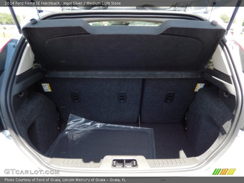 Ingot Silver / Medium Light Stone 2014 Ford Fiesta SE Hatchback