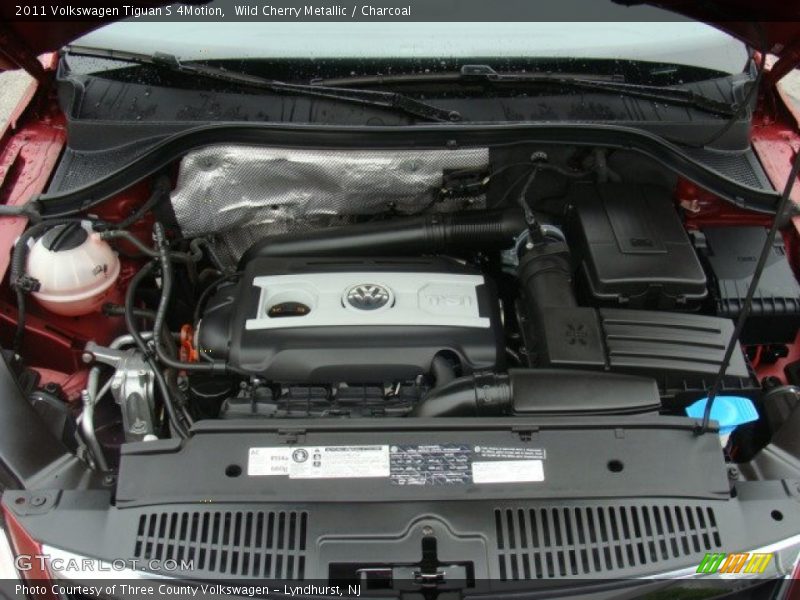 Wild Cherry Metallic / Charcoal 2011 Volkswagen Tiguan S 4Motion