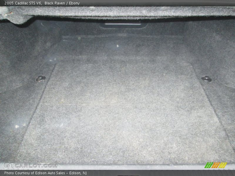 Black Raven / Ebony 2005 Cadillac STS V6