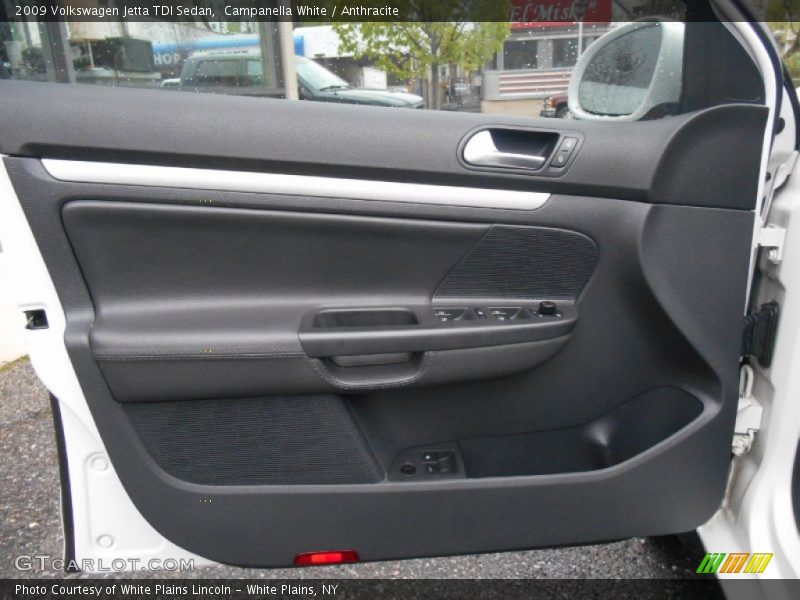 Door Panel of 2009 Jetta TDI Sedan