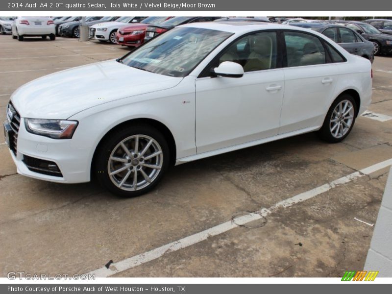 Ibis White / Velvet Beige/Moor Brown 2014 Audi A4 2.0T quattro Sedan