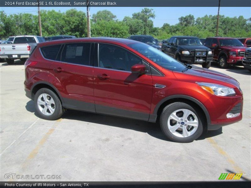 Sunset / Charcoal Black 2014 Ford Escape SE 1.6L EcoBoost