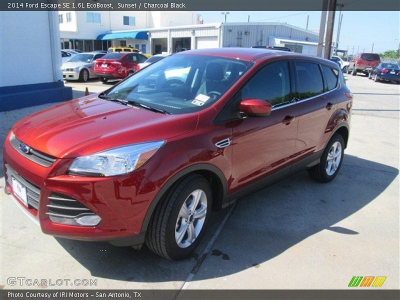 Sunset / Charcoal Black 2014 Ford Escape SE 1.6L EcoBoost