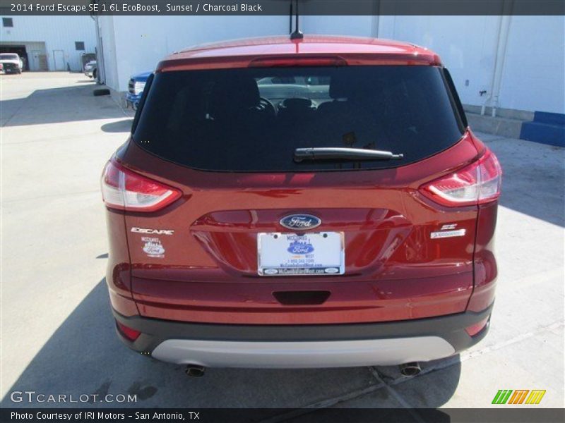 Sunset / Charcoal Black 2014 Ford Escape SE 1.6L EcoBoost