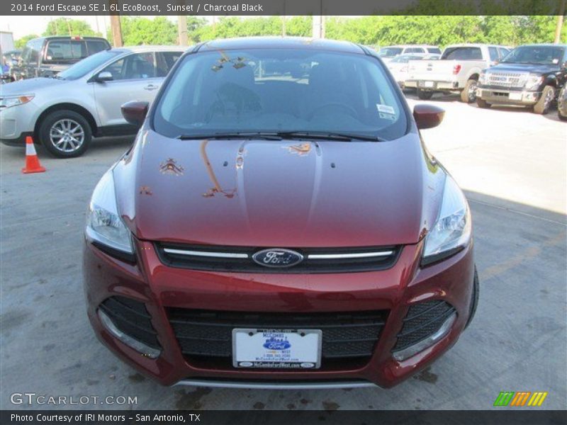 Sunset / Charcoal Black 2014 Ford Escape SE 1.6L EcoBoost