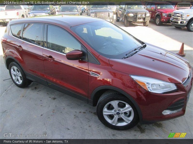Sunset / Charcoal Black 2014 Ford Escape SE 1.6L EcoBoost