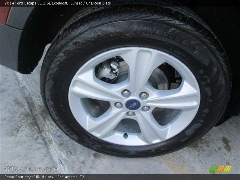 Sunset / Charcoal Black 2014 Ford Escape SE 1.6L EcoBoost