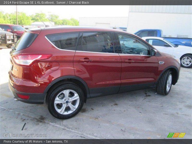 Sunset / Charcoal Black 2014 Ford Escape SE 1.6L EcoBoost