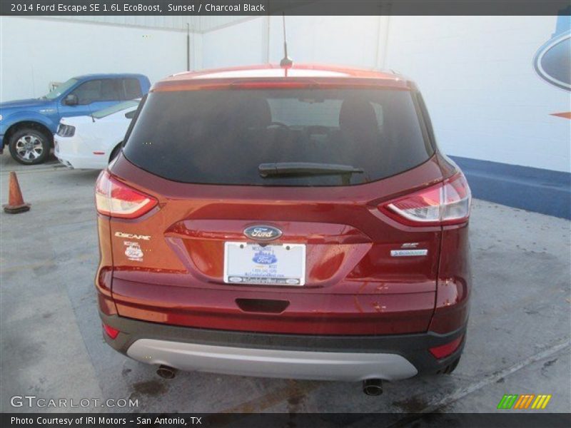 Sunset / Charcoal Black 2014 Ford Escape SE 1.6L EcoBoost