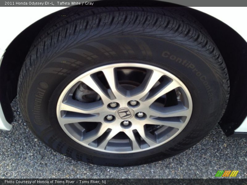 Taffeta White / Gray 2011 Honda Odyssey EX-L