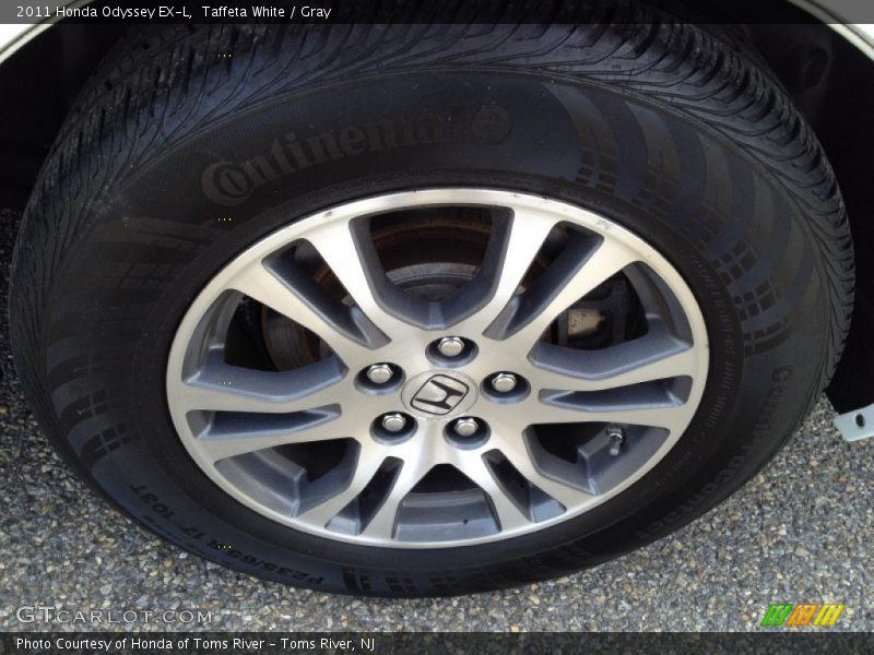 Taffeta White / Gray 2011 Honda Odyssey EX-L