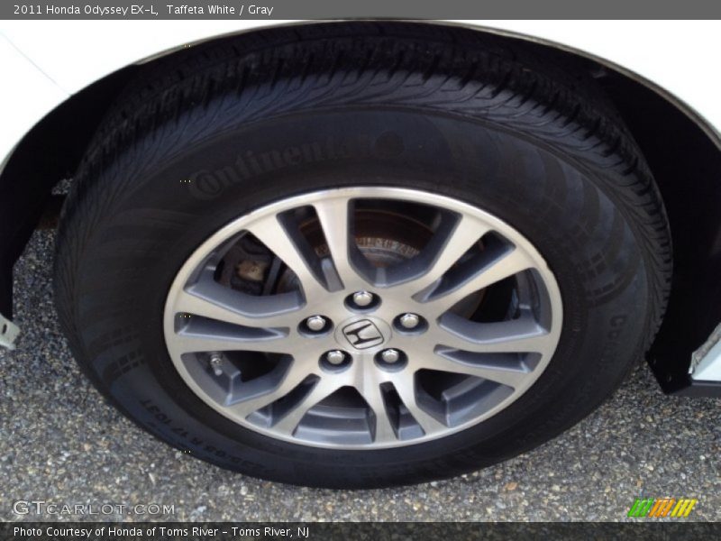 Taffeta White / Gray 2011 Honda Odyssey EX-L