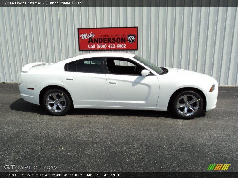 Bright White / Black 2014 Dodge Charger SE