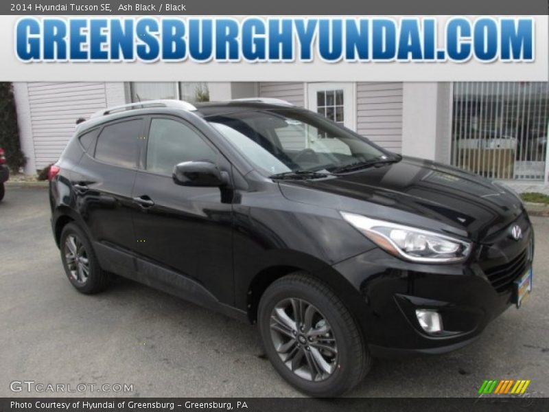 Ash Black / Black 2014 Hyundai Tucson SE