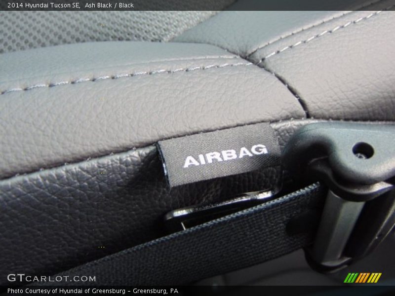 Ash Black / Black 2014 Hyundai Tucson SE
