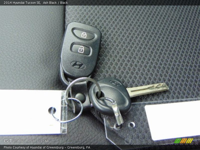 Ash Black / Black 2014 Hyundai Tucson SE