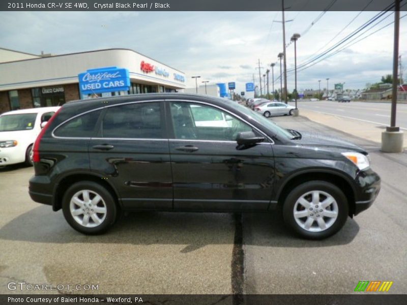 Crystal Black Pearl / Black 2011 Honda CR-V SE 4WD