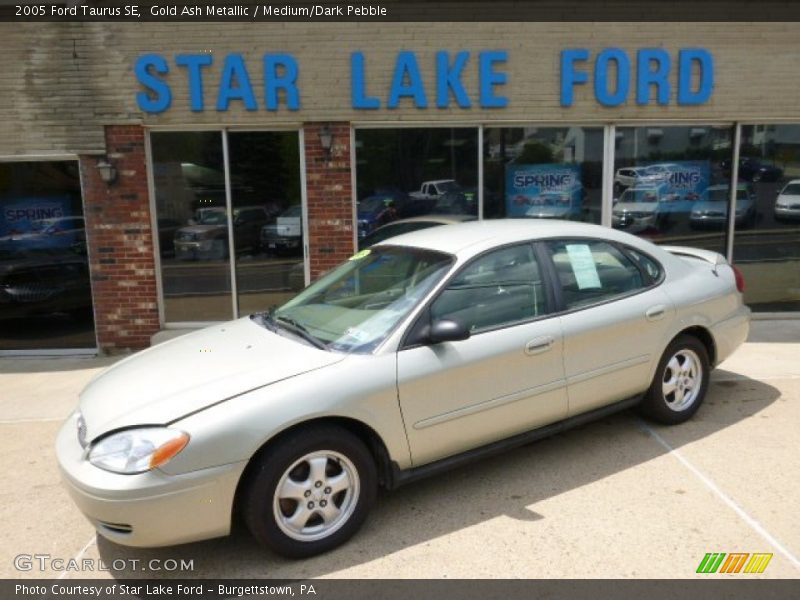 Gold Ash Metallic / Medium/Dark Pebble 2005 Ford Taurus SE