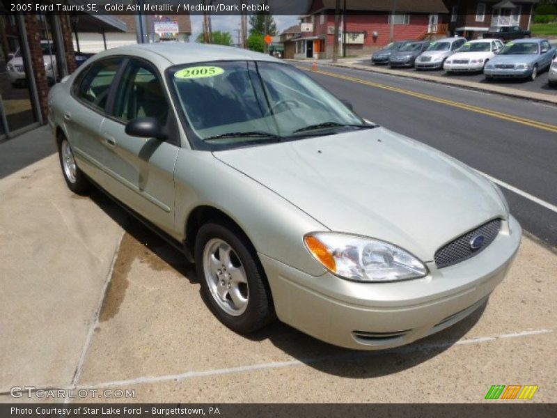 Gold Ash Metallic / Medium/Dark Pebble 2005 Ford Taurus SE