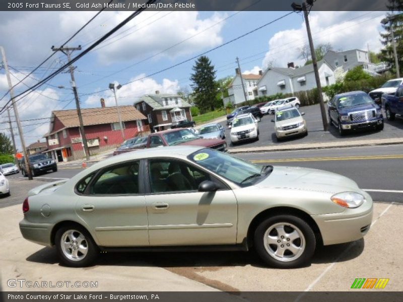 Gold Ash Metallic / Medium/Dark Pebble 2005 Ford Taurus SE