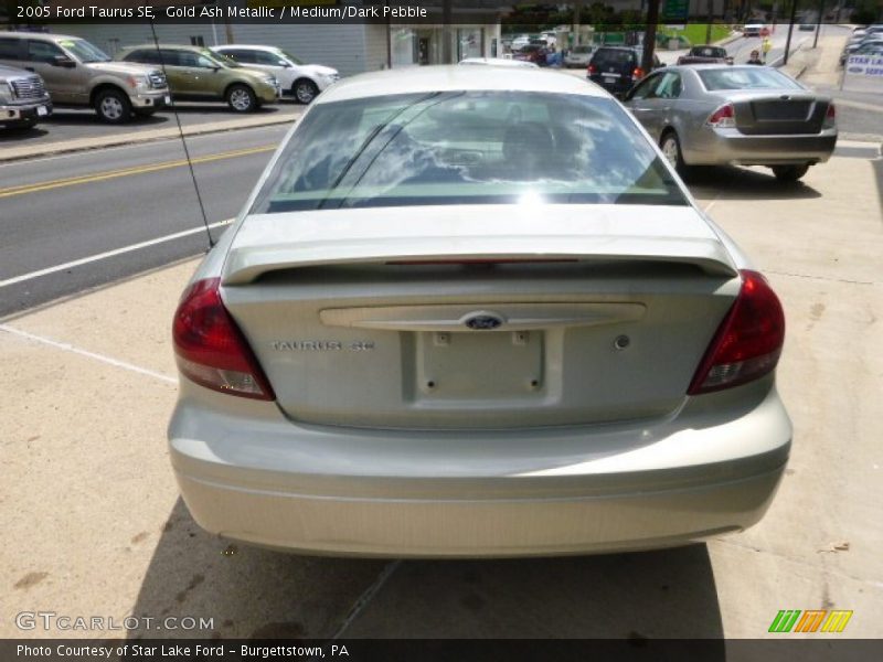 Gold Ash Metallic / Medium/Dark Pebble 2005 Ford Taurus SE