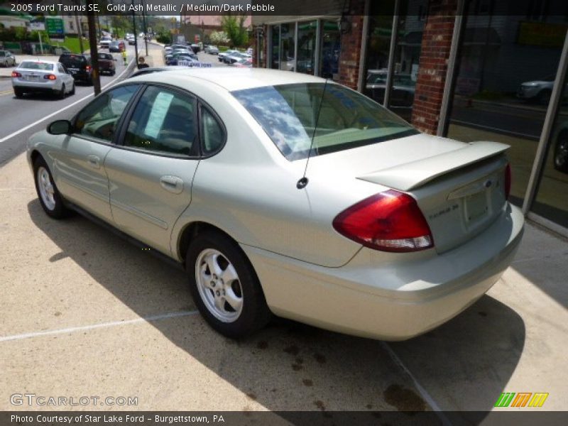 Gold Ash Metallic / Medium/Dark Pebble 2005 Ford Taurus SE