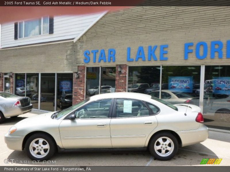 Gold Ash Metallic / Medium/Dark Pebble 2005 Ford Taurus SE