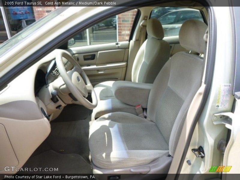 Gold Ash Metallic / Medium/Dark Pebble 2005 Ford Taurus SE