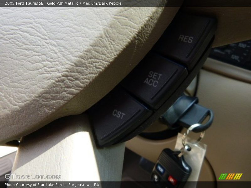 Gold Ash Metallic / Medium/Dark Pebble 2005 Ford Taurus SE